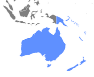 Cartina Oceania icona