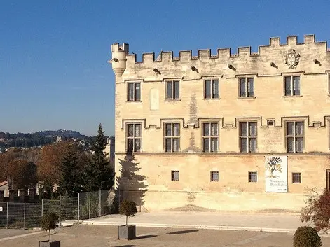 museo petit palais avignone
