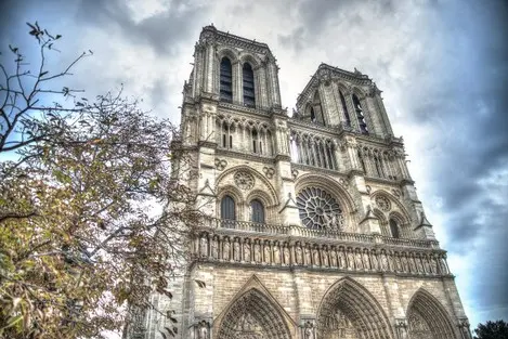 Cattedrale di Notre Dame a parigi