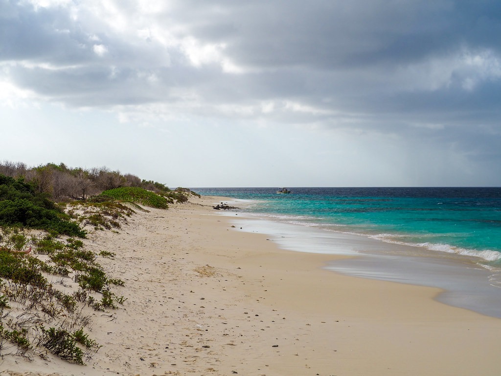 spiaggia sabbiosa isola di Bonaire